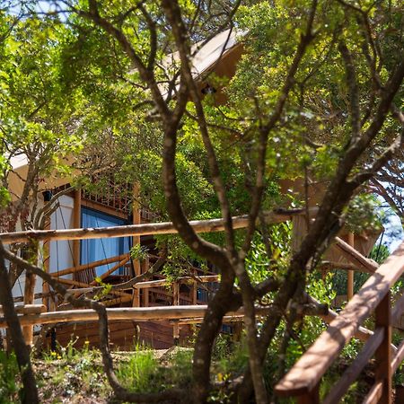 Camping Lacona Pineta Capoliveri  Dış mekan fotoğraf