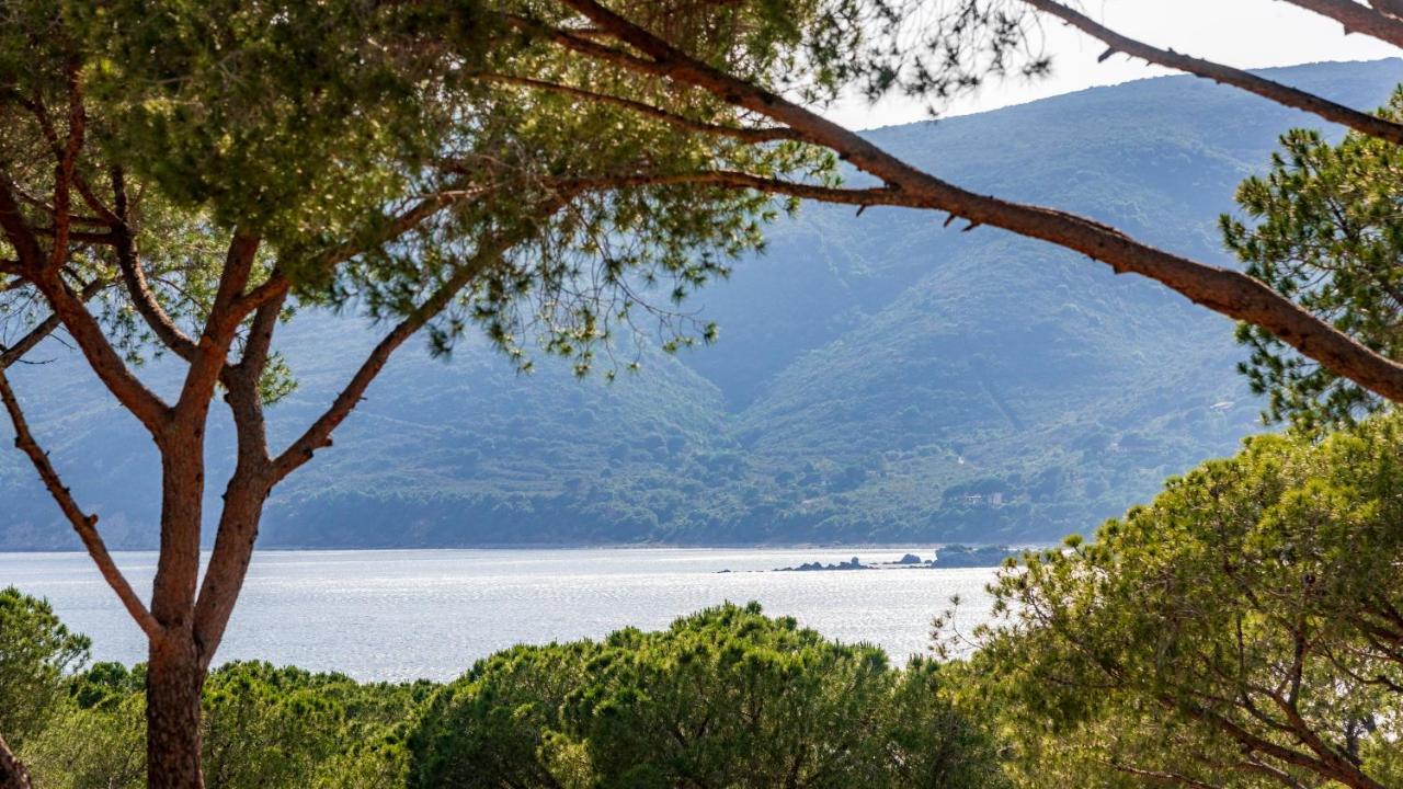 Camping Lacona Pineta Capoliveri  Dış mekan fotoğraf