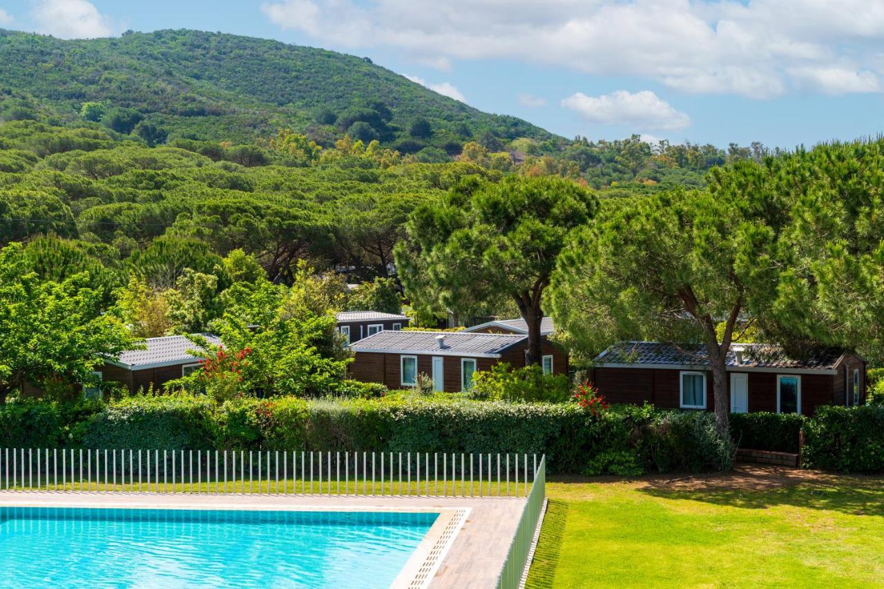 Camping Lacona Pineta Capoliveri  Dış mekan fotoğraf
