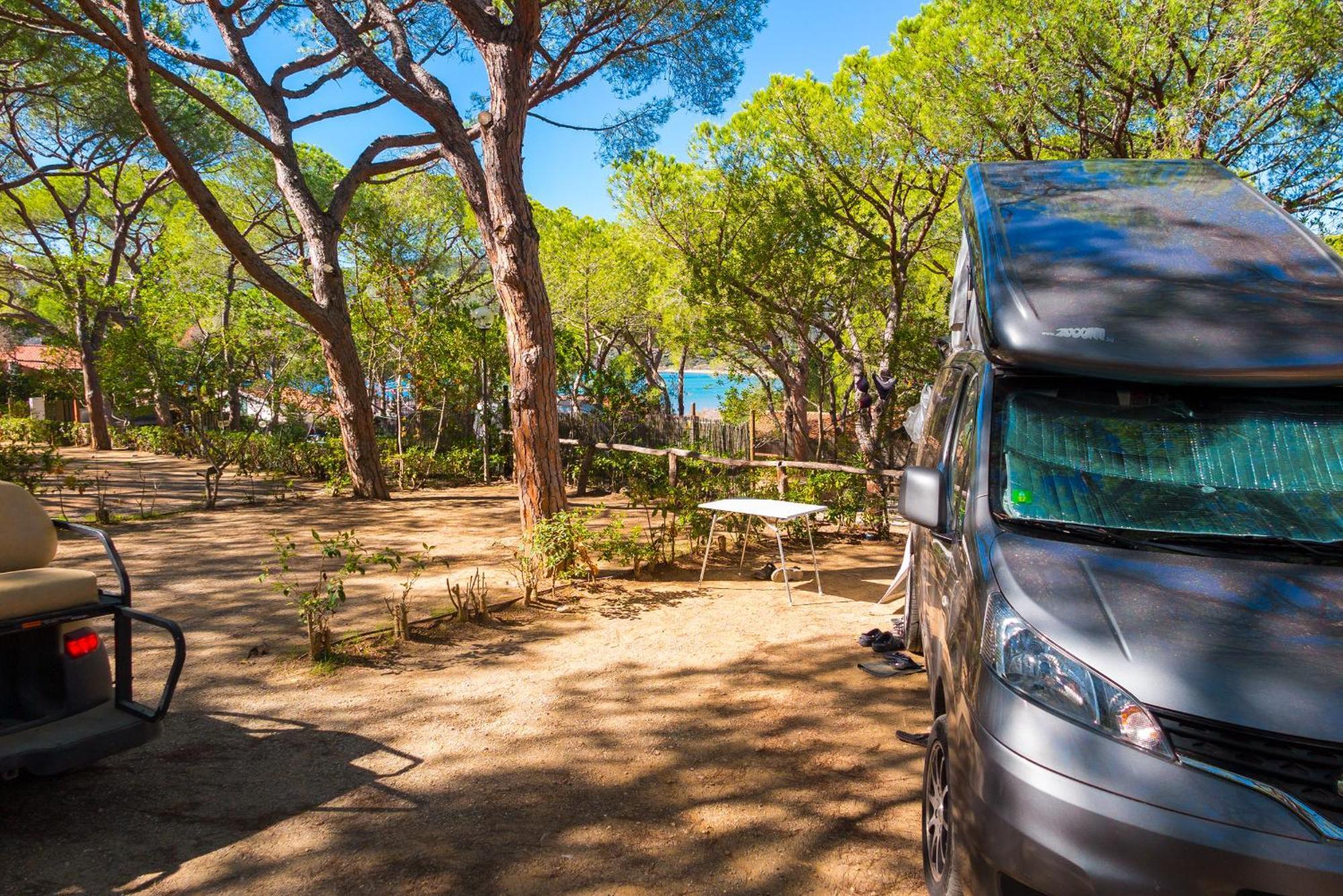 Camping Lacona Pineta Capoliveri  Dış mekan fotoğraf